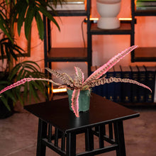 Translation missing: lt.sections.featured_product.gallery_thumbnail_alt