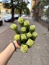 Translation missing: lt.sections.featured_product.gallery_thumbnail_alt