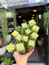 Translation missing: lt.sections.featured_product.gallery_thumbnail_alt