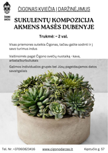 Translation missing: lt.sections.featured_product.gallery_thumbnail_alt