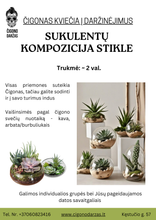 Translation missing: lt.sections.featured_product.gallery_thumbnail_alt