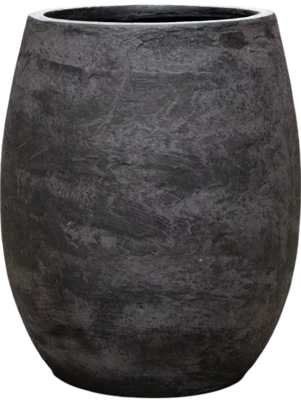 Pilkas Balionas Baq Algar