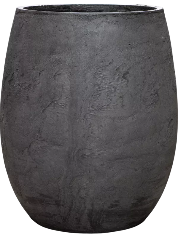 Pilkas Balionas Baq Algar