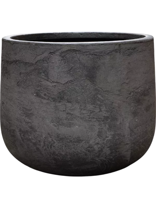 Baq Algar Darcy Grey