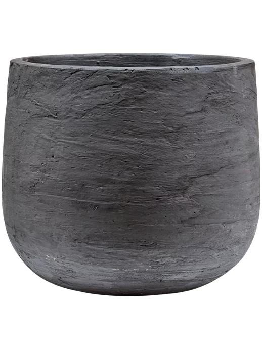 Baq Algar Darcy Grey