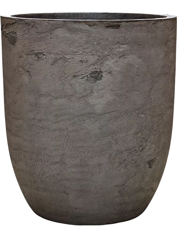 Pilka Baq Algar Partner