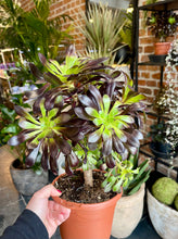 Translation missing: lt.sections.featured_product.gallery_thumbnail_alt