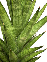 Translation missing: lt.sections.featured_product.gallery_thumbnail_alt