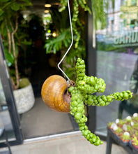 Translation missing: lt.sections.featured_product.gallery_thumbnail_alt