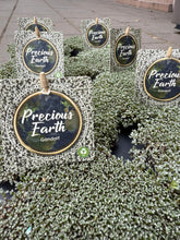 Translation missing: lt.sections.featured_product.gallery_thumbnail_alt