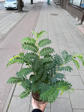 Translation missing: lt.sections.featured_product.gallery_thumbnail_alt