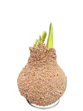 Translation missing: lt.sections.featured_product.gallery_thumbnail_alt