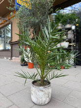 Translation missing: lt.sections.featured_product.gallery_thumbnail_alt