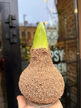 Translation missing: lt.sections.featured_product.gallery_thumbnail_alt