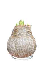 Translation missing: lt.sections.featured_product.gallery_thumbnail_alt