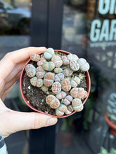 Translation missing: en.sections.featured_product.gallery_thumbnail_alt