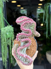 Translation missing: lt.sections.featured_product.gallery_thumbnail_alt