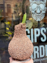 Translation missing: lt.sections.featured_product.gallery_thumbnail_alt